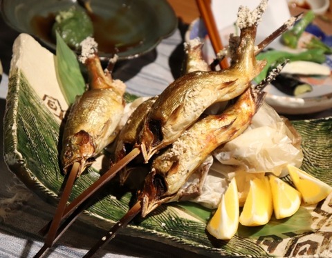 渓流の魚を食ったことある奴ちょっと来てくれwww