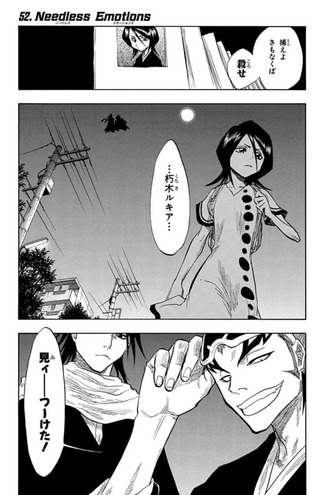 【BLEACH】後の夫婦と兄である