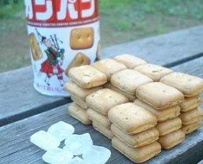 ワンピースの正体がマジで判明する、「乾パン」だった…！