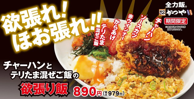 【朗報】かつや、バカ www