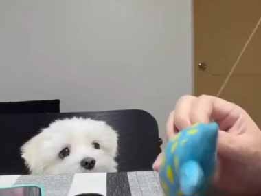 依頼されたのでオモチャを直していた。まだなの～！？ → 隣りでクレーマーが騒ぎ出した…