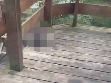 色白の彼女がテラスでランチをしていた。うまそうなモン食っとるやんけ → ヤカラが現れた…