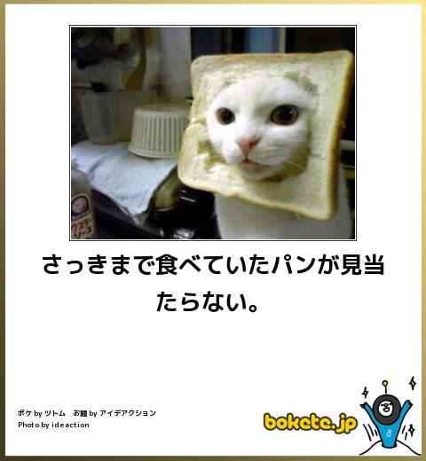 ネットで拾った「吹いた画像」を淡々と貼っていくスレwww
