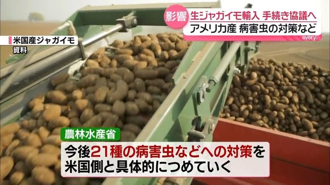 【悲報】高市早苗、カルビーへの反撃開始www