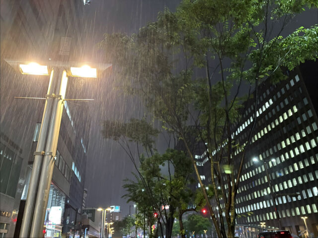 迷惑系配信者さん、豪雨の夜に水たまりで頭を洗う→ 発熱と血尿 多数の細菌を検出