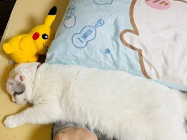 【画像】拒食症の人の写真、AIみたいだと話題に…