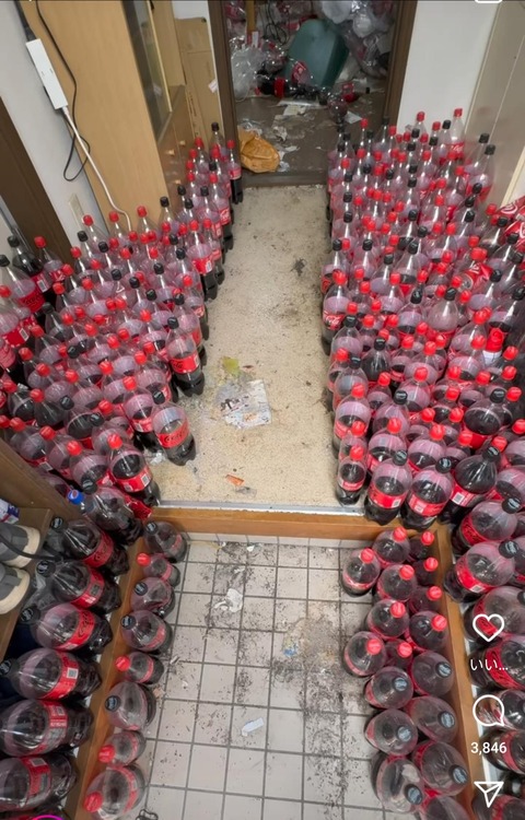 【画像】綺麗好きなADHDの家www