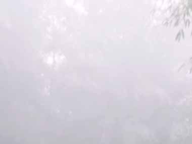 彼女がひとりぼっちで空を見上げていた。何を考えているのかな？ → ずっとこんな様子です…