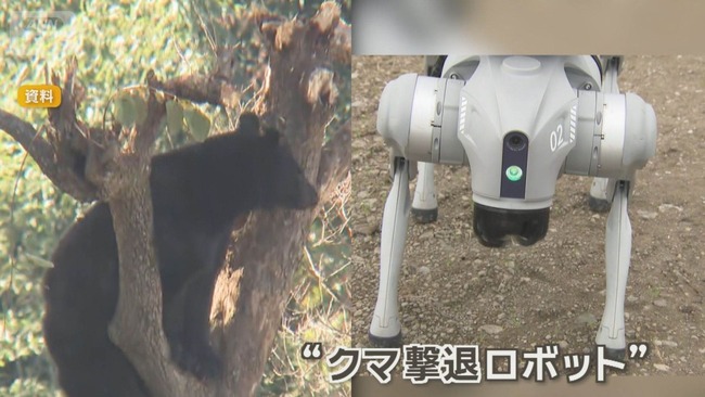 岩手の高校生、クマ対策に四足歩行の撃退ロボ製作　大音量発し催涙スプレー噴射