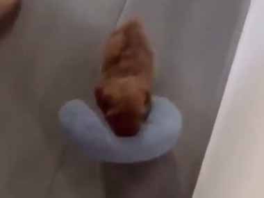 彼に私のネックピローを取られた。これはもうオレの物だ！ → さっそくこうします…