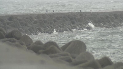 【悲報】母親さん(28)、9歳の息子が夜釣り中に海に転落して意識不明。助けにいった20代知人男性も溺死