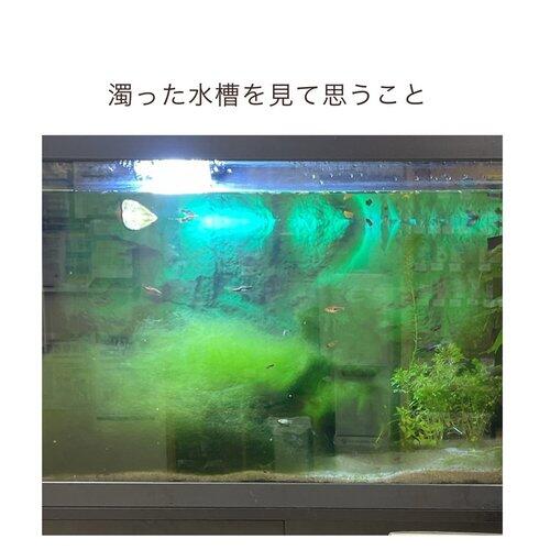 【悲報】謎の勢力「水は腐るぞ」←は？