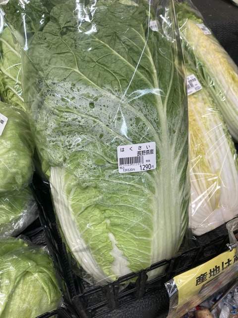 【画像】白菜、一線越えwww