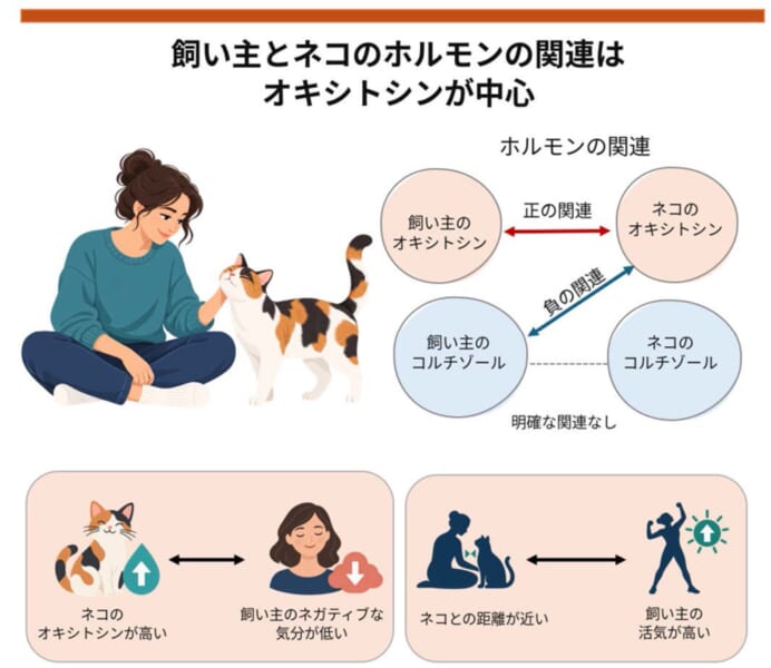 飼い主の「愛情ホルモン」が多いほど、ネコも多いと判明