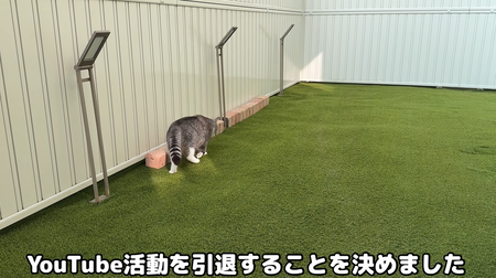 【悲報】もちまる日記、Youtube引退へ